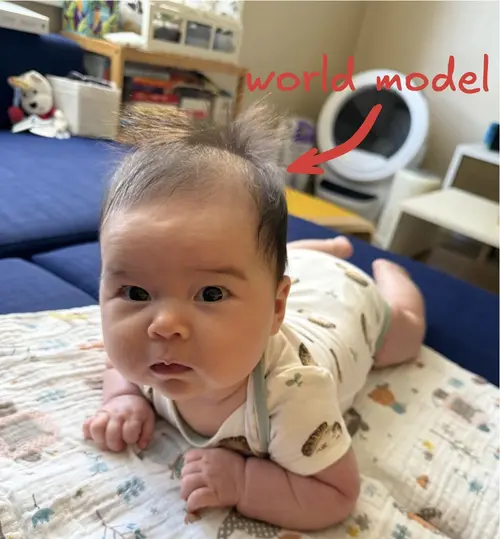 Flo's world model