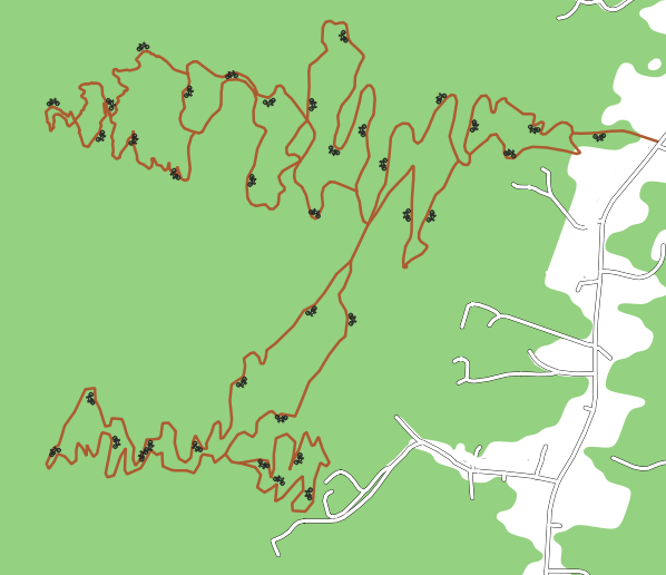 Road data from OSM